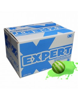 Bile Expertpaintballs Winter